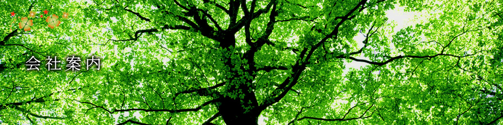 会社案内